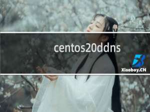 centos ddns