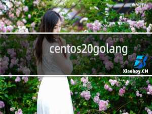 centos golang