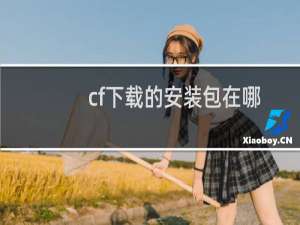 cf下载的安装包在哪