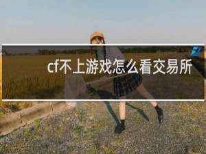 cf不上游戏怎么看交易所