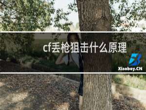 cf丢枪狙击什么原理