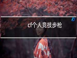 cf个人竞技步枪
