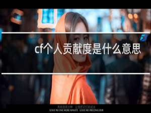 cf个人贡献度是什么意思