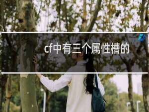 cf中有三个属性槽的