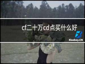cf二十万cd点买什么好
