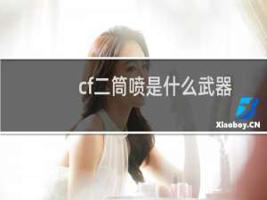 cf二筒喷是什么武器