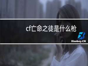 cf亡命之徒是什么枪
