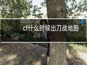 cf什么时候出刀战地图