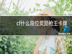cf什么段位奖励枪王卡牌