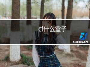 cf什么盒子