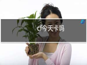 cf今天卡吗