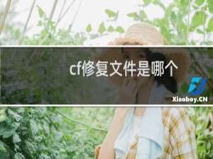 cf修复文件是哪个
