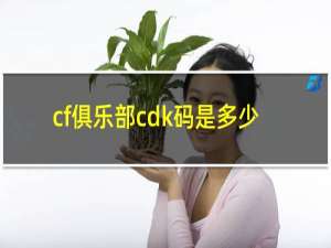 cf俱乐部cdk码是多少