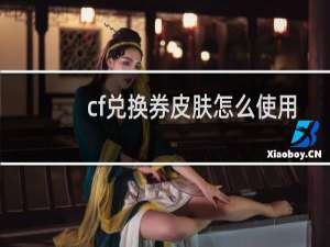 cf兑换券皮肤怎么使用
