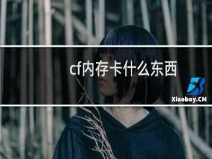 cf内存卡什么东西