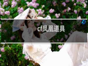 cf凤凰道具