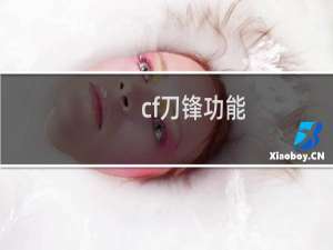 cf刀锋功能