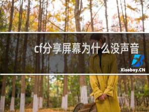cf分享屏幕为什么没声音