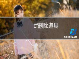 cf删除道具