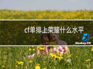cf单排上荣耀什么水平