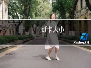 cf卡大小
