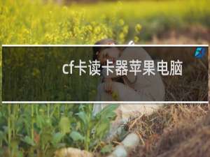 cf卡读卡器苹果电脑