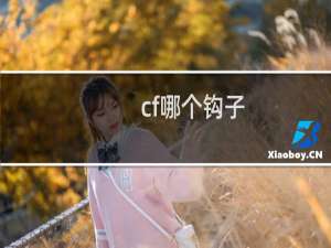 cf哪个钩子