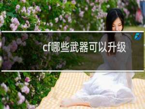 cf哪些武器可以升级