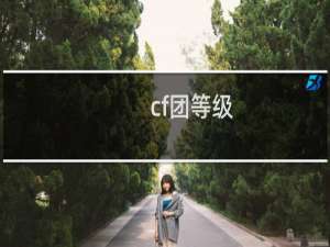cf团等级