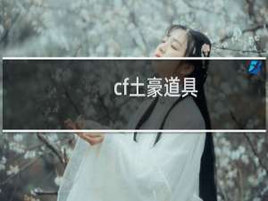 cf土豪道具
