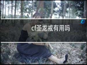 cf圣龙戒有用吗