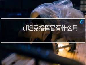 cf坦克指挥官有什么用