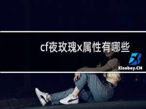 cf夜玫瑰x属性有哪些
