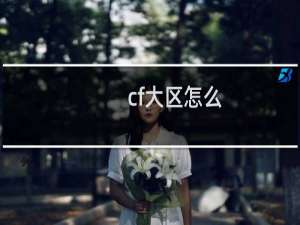 cf大区怎么