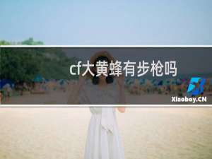 cf大黄蜂有步枪吗