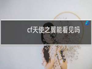 cf天使之翼能看见吗