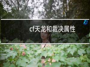 cf天龙和裁决属性