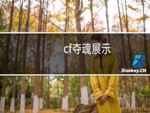 cf夺魂展示
