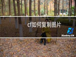 cf如何复制图片