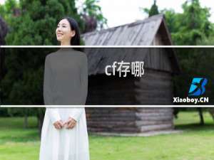 cf存哪