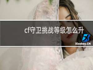 cf守卫挑战等级怎么升