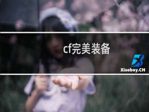cf完美装备