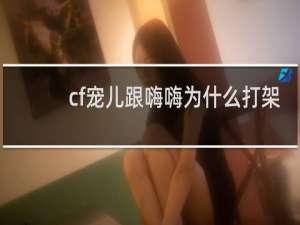 cf宠儿跟嗨嗨为什么打架