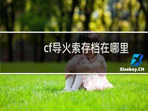 cf导火索存档在哪里