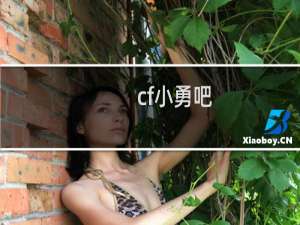cf小勇吧