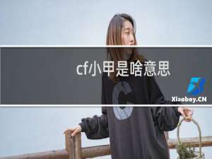 cf小甲是啥意思