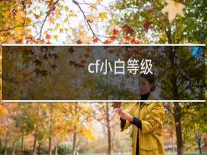 cf小白等级