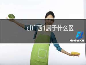cf广西1属于什么区