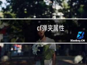 cf弹夹属性
