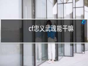 cf忠义武魂能干嘛